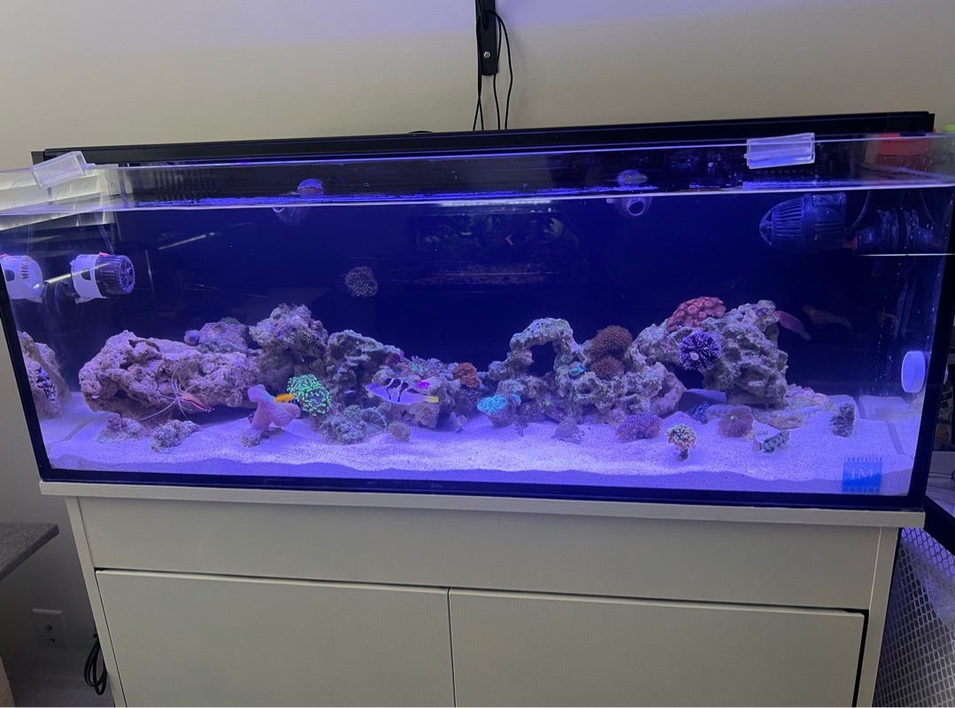 Tank Image