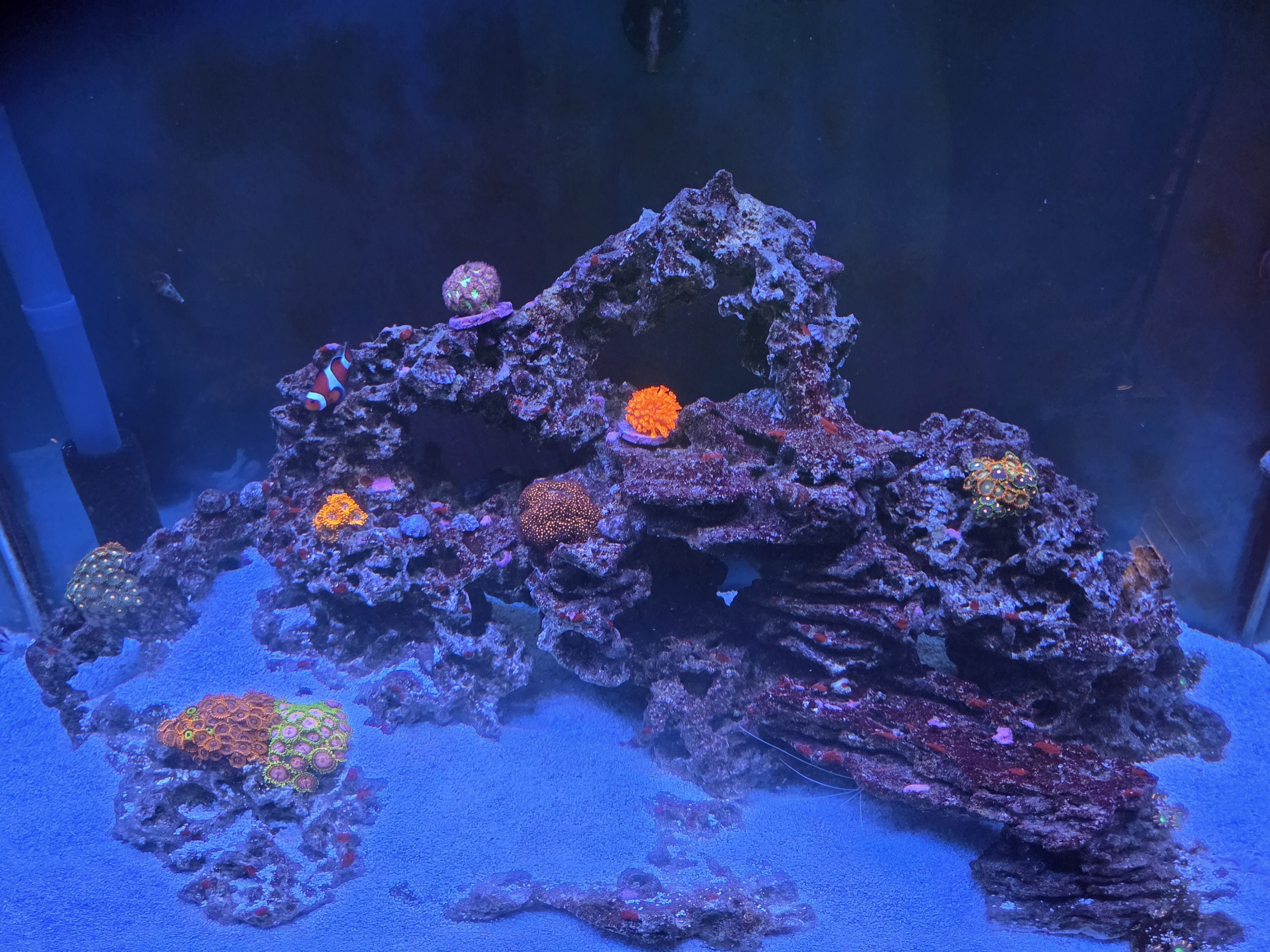 Tank Image