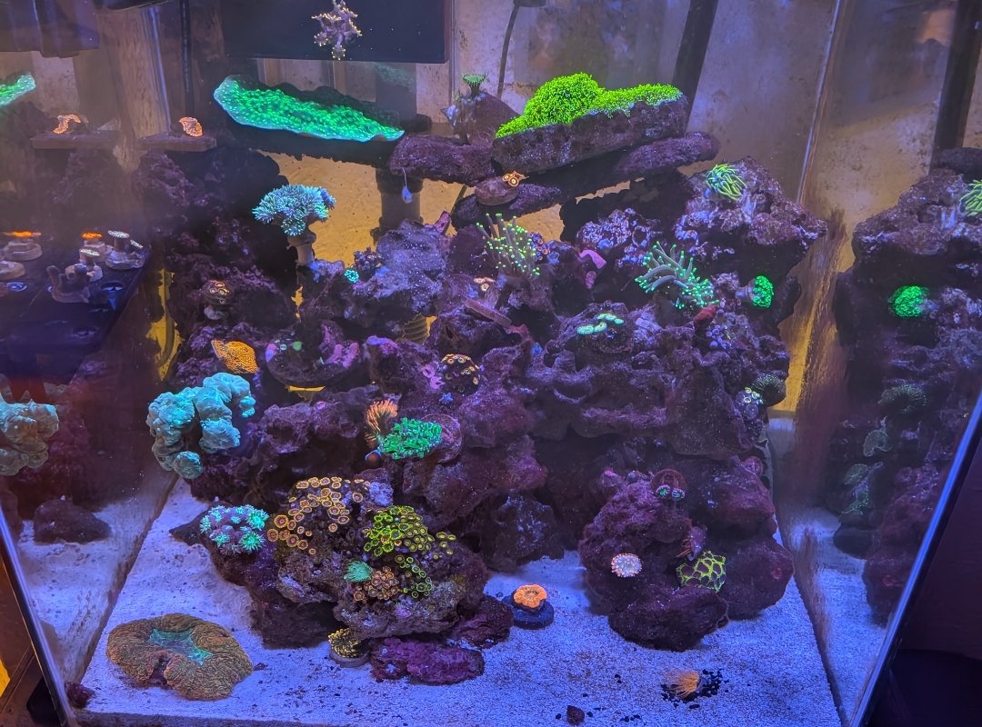 Tank Image
