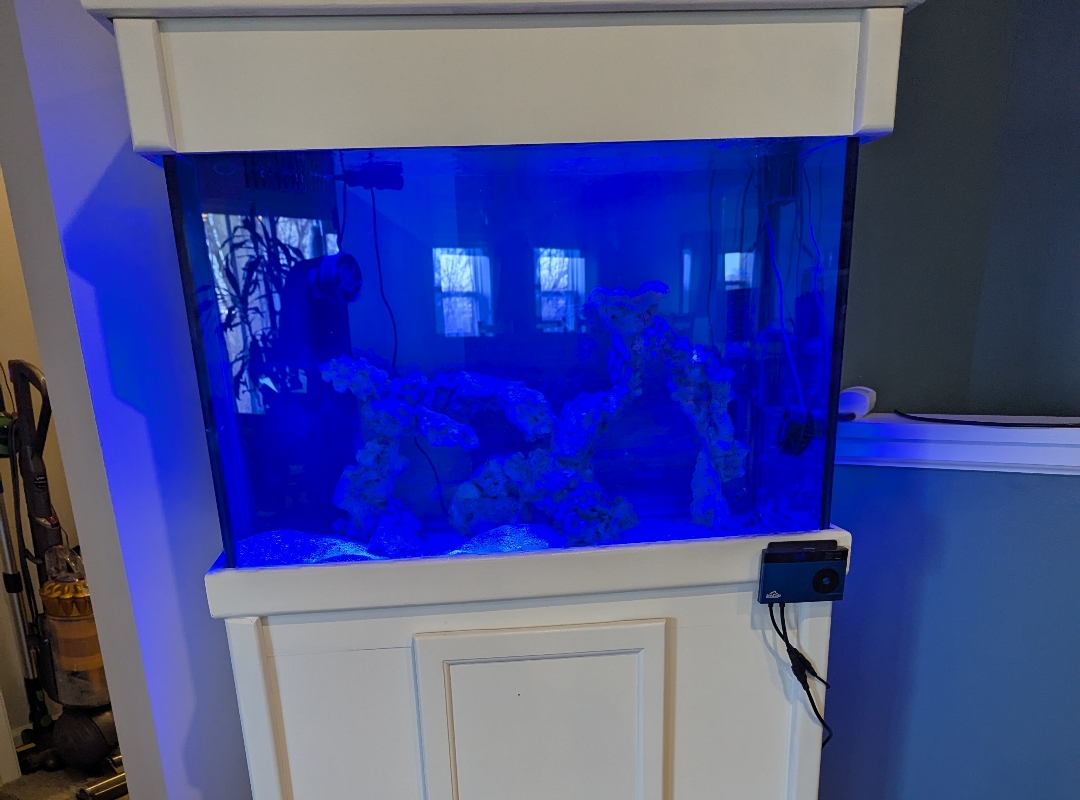 Tank Image