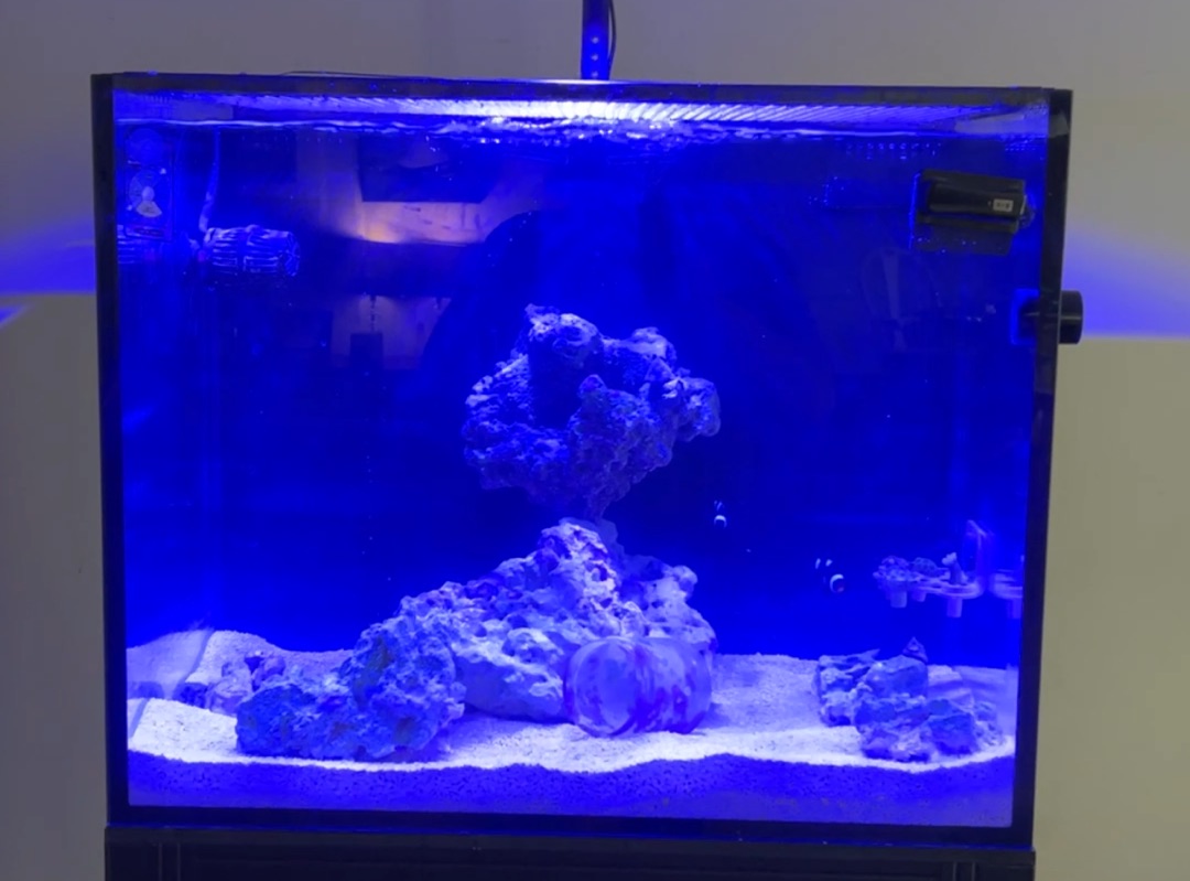 Tank Image