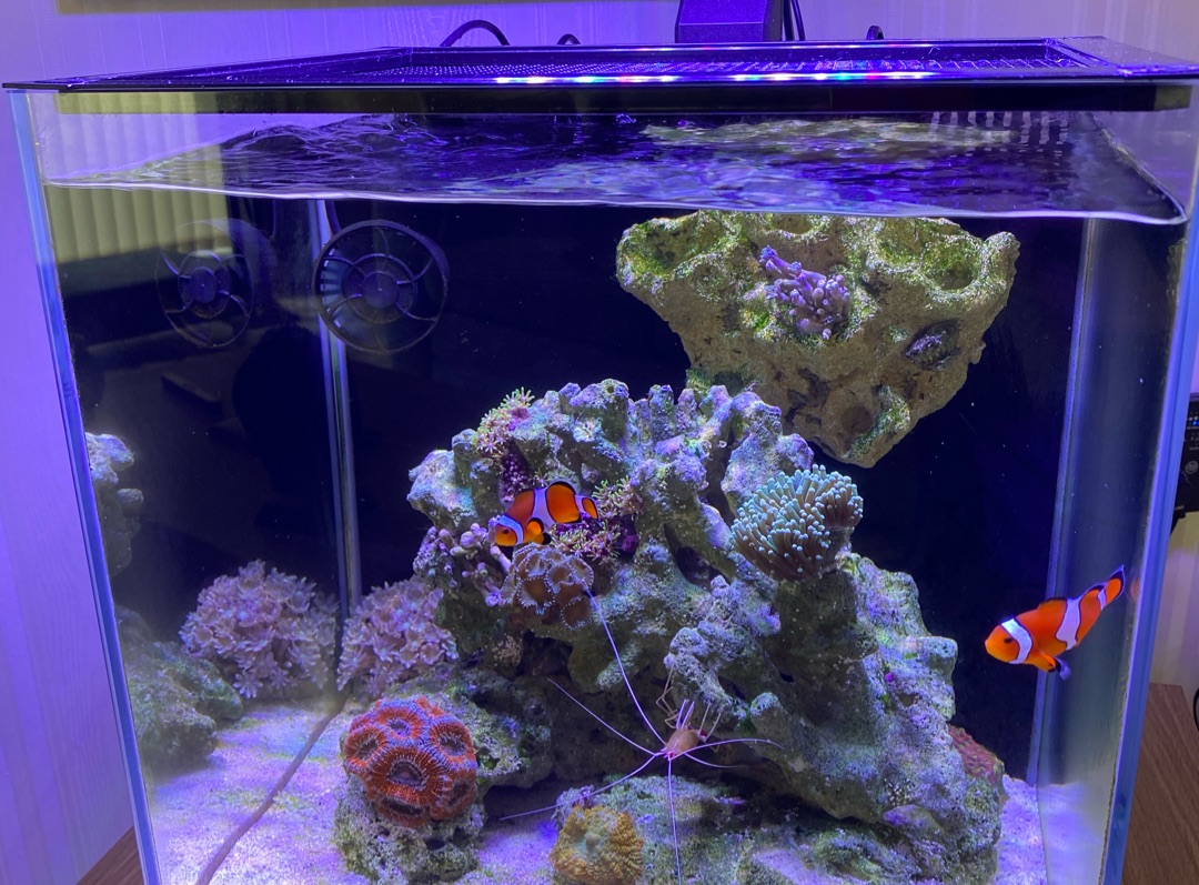Tank Image