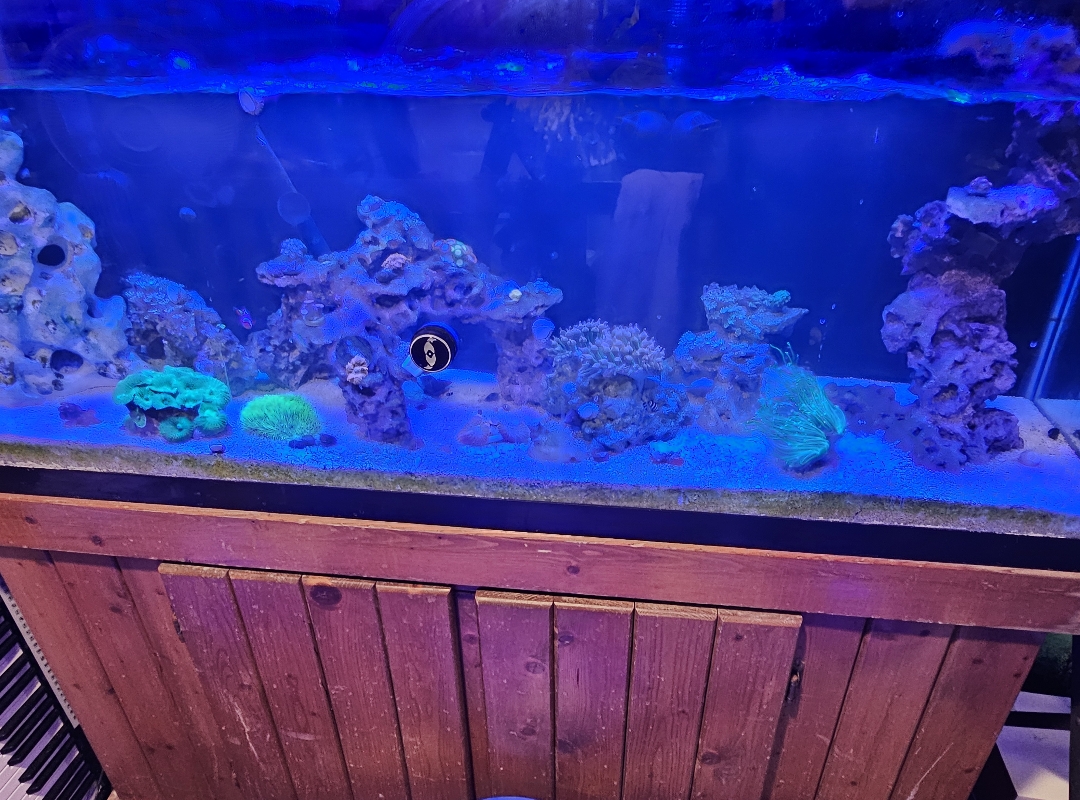 Tank Image