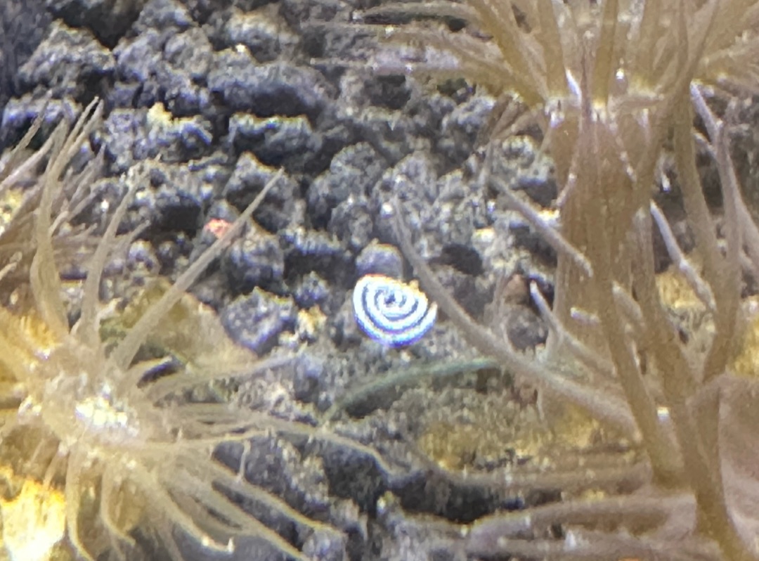 Tank Image