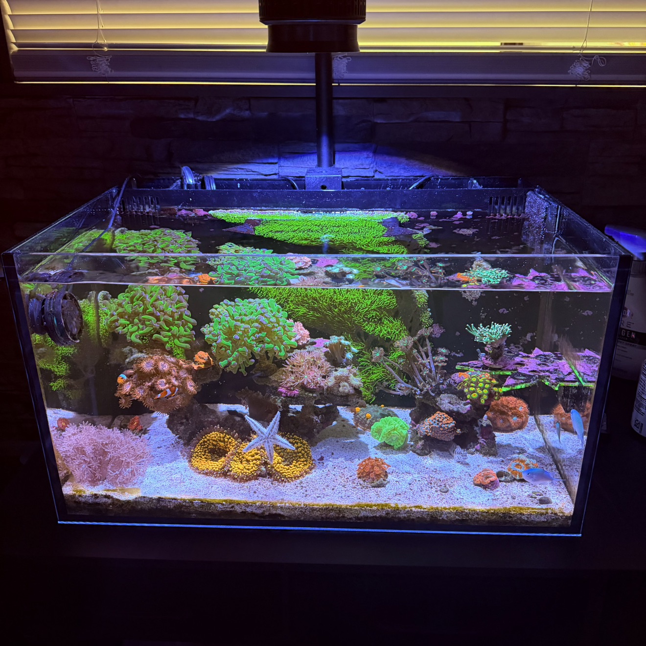 Tank Image
