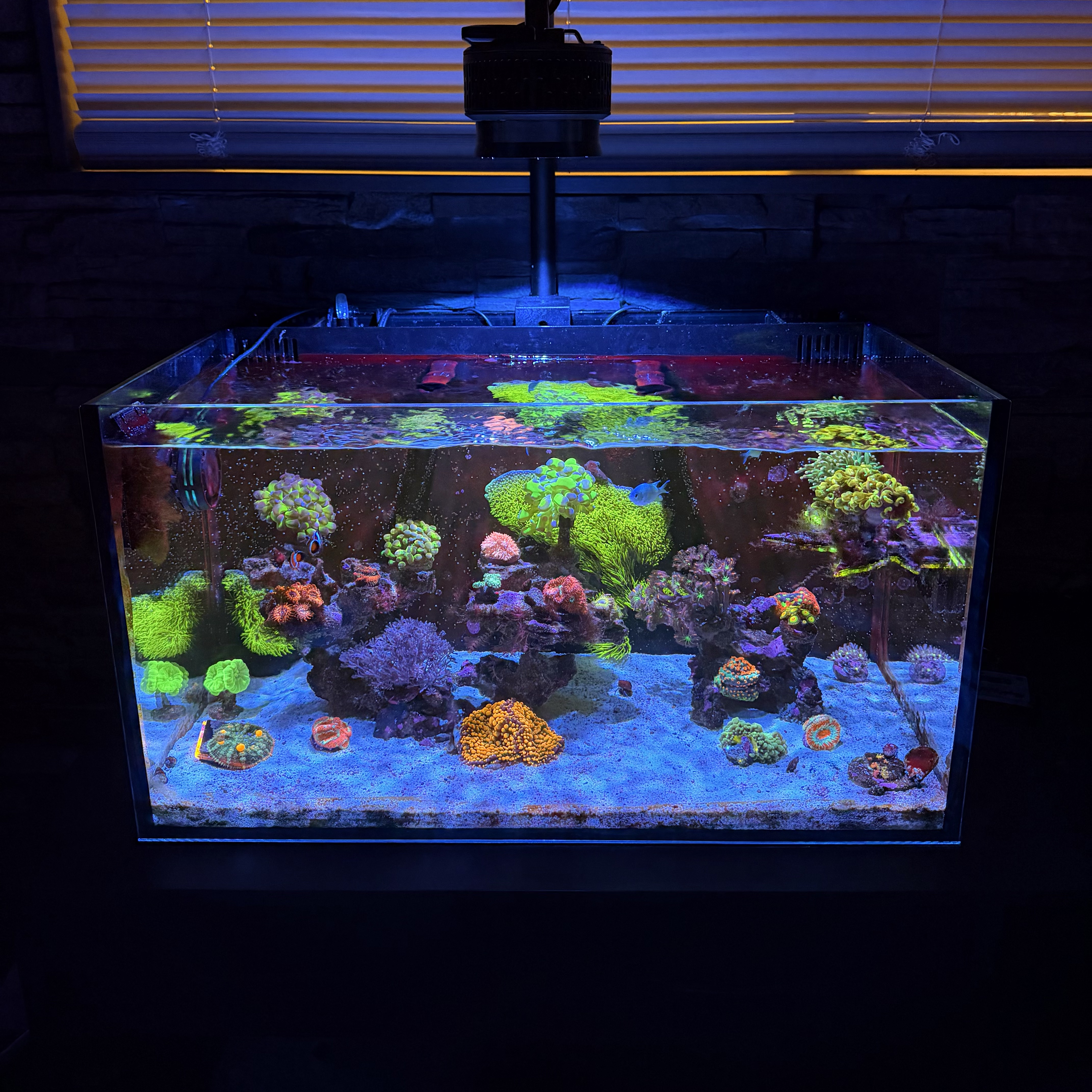 Tank Image
