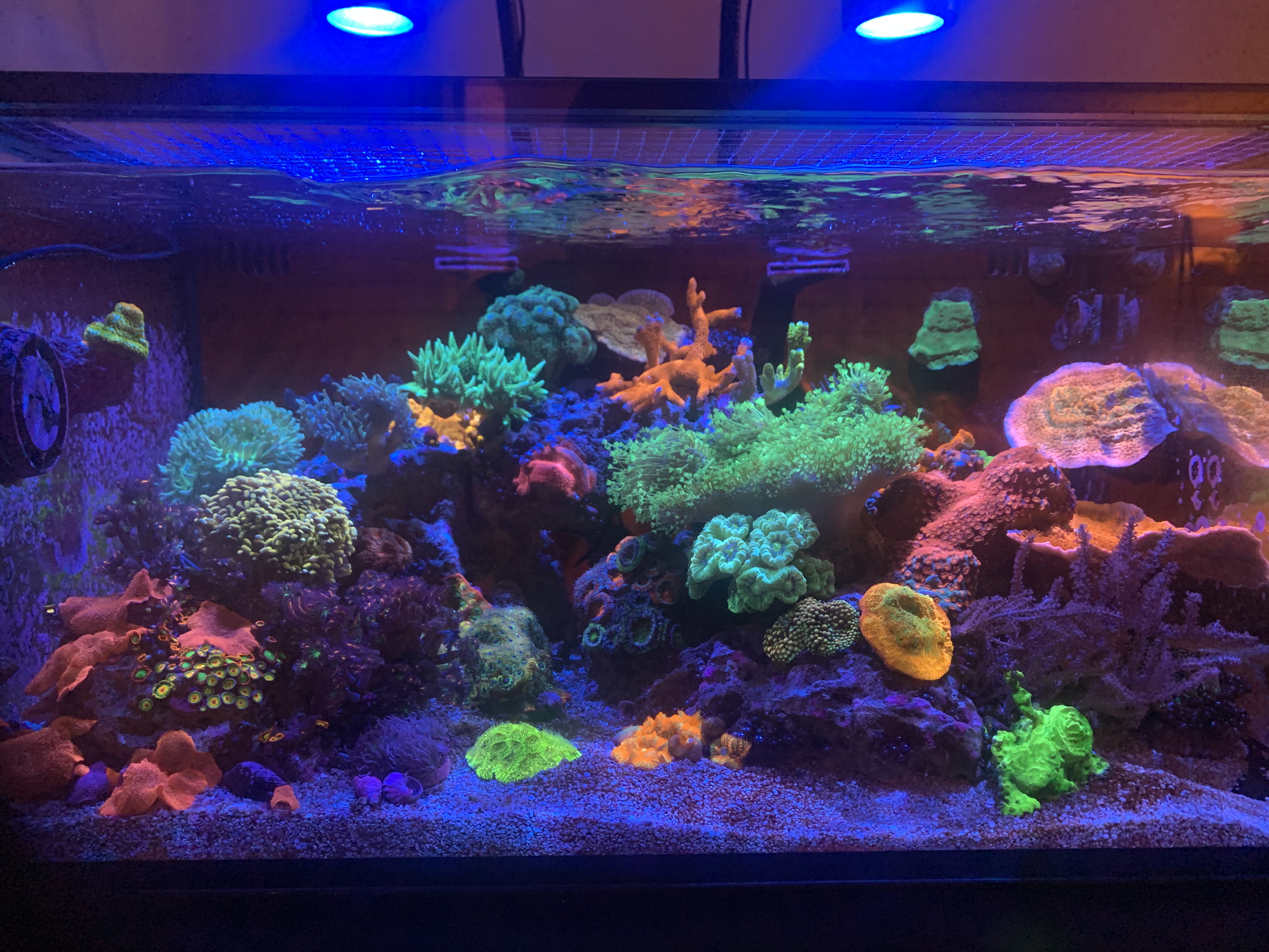 Tank Image