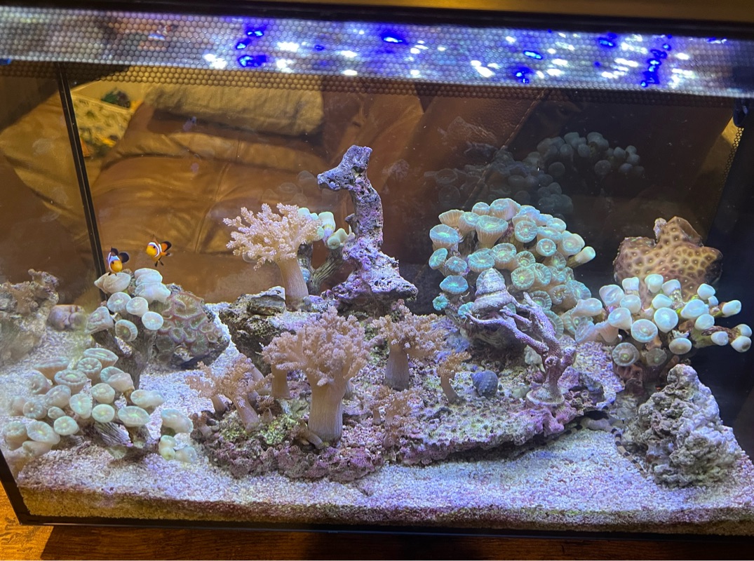 Tank Image
