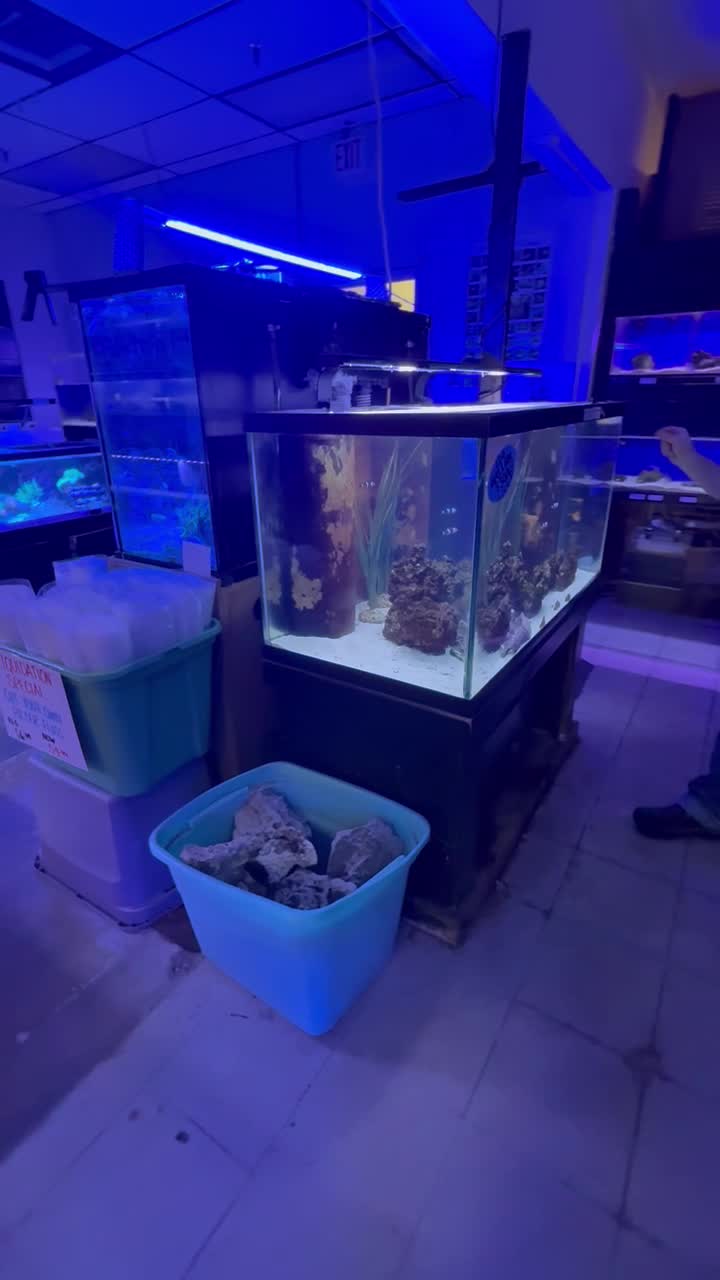 Habe mir gerade dieses 120-Gallonen-Becken gekauft, kommt mit allem. W...