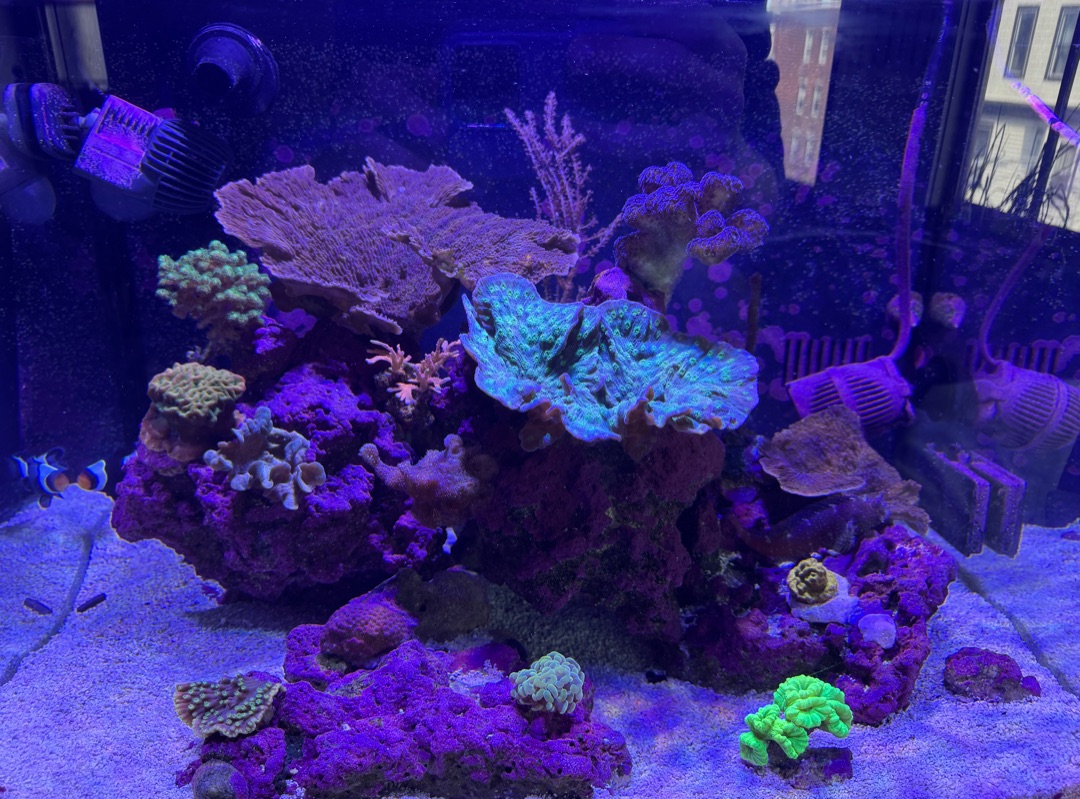 Tank Image