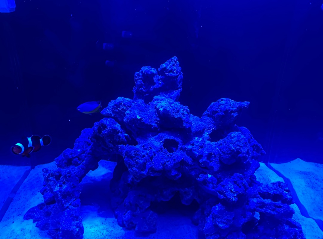 Tank Image