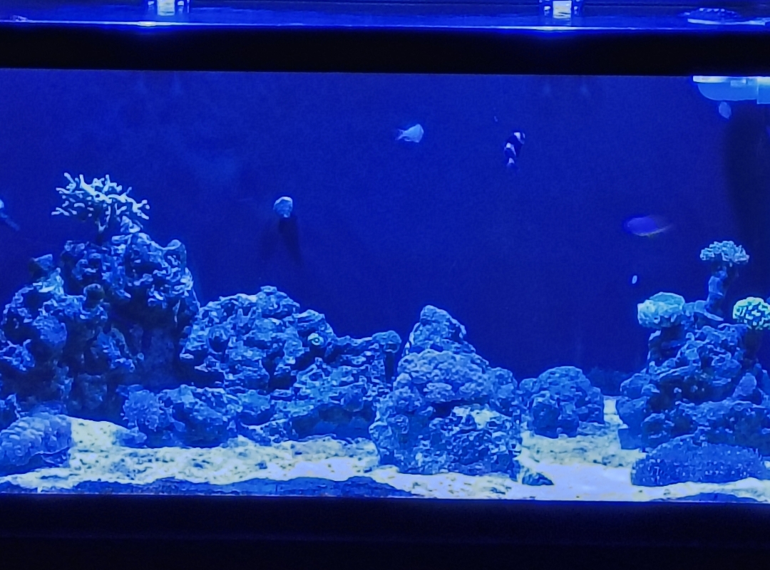 Tank Image
