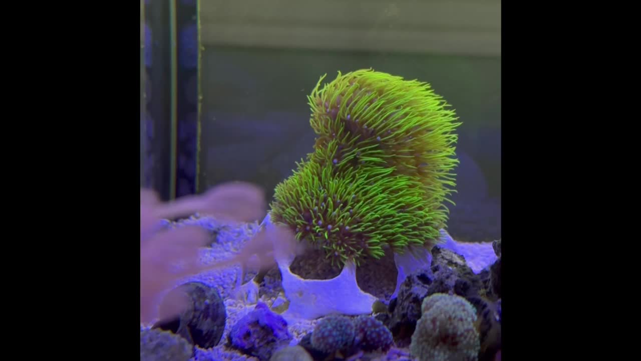 Just a relaxing day at the reef 🏖️ Do any of you also use 3D printed d...