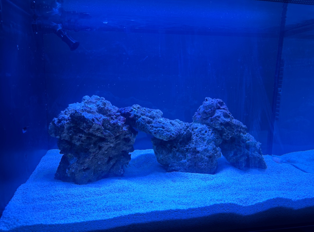 Tank Image