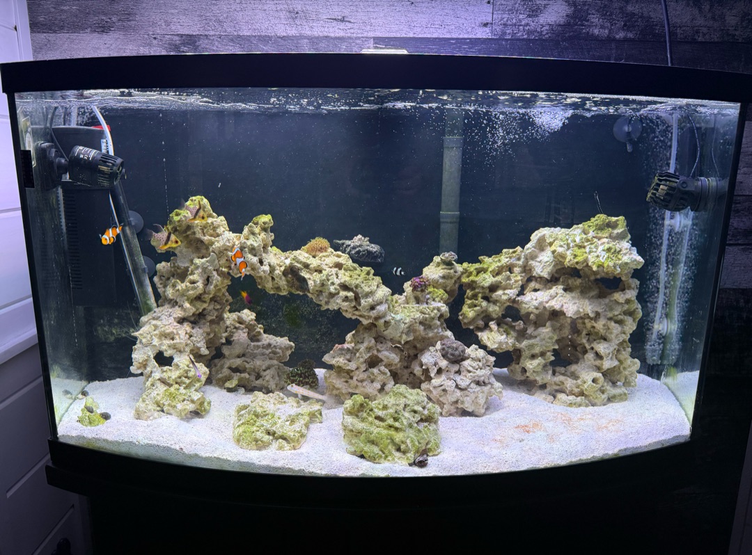 Tank Image