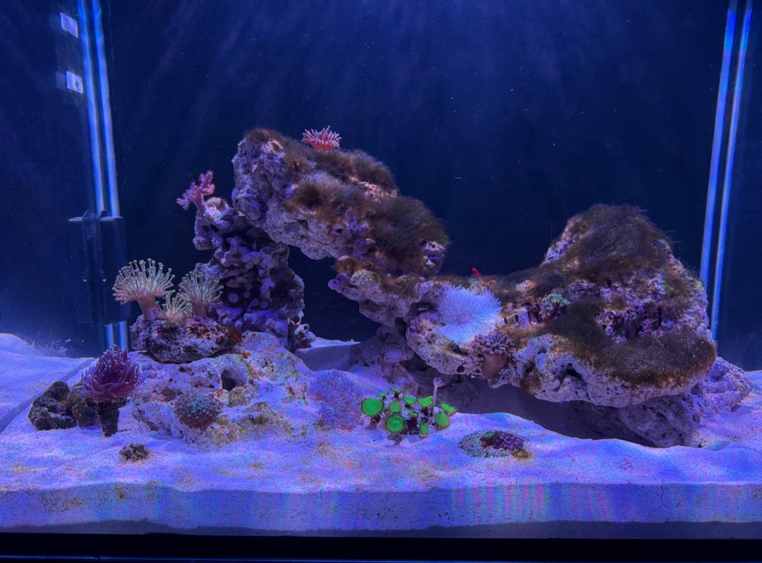 Tank Image