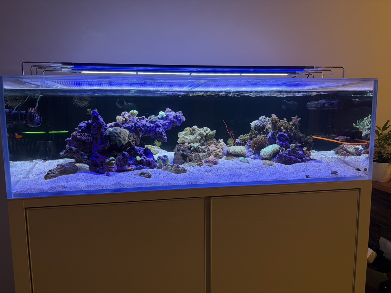 Tank Image