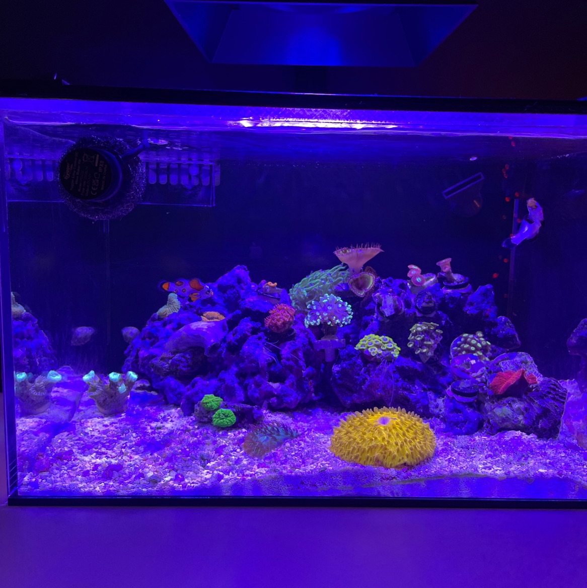 Tank Image