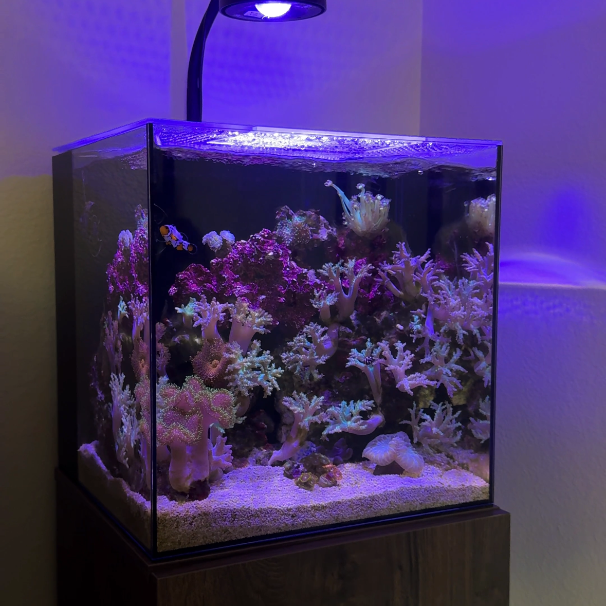 Tank Image