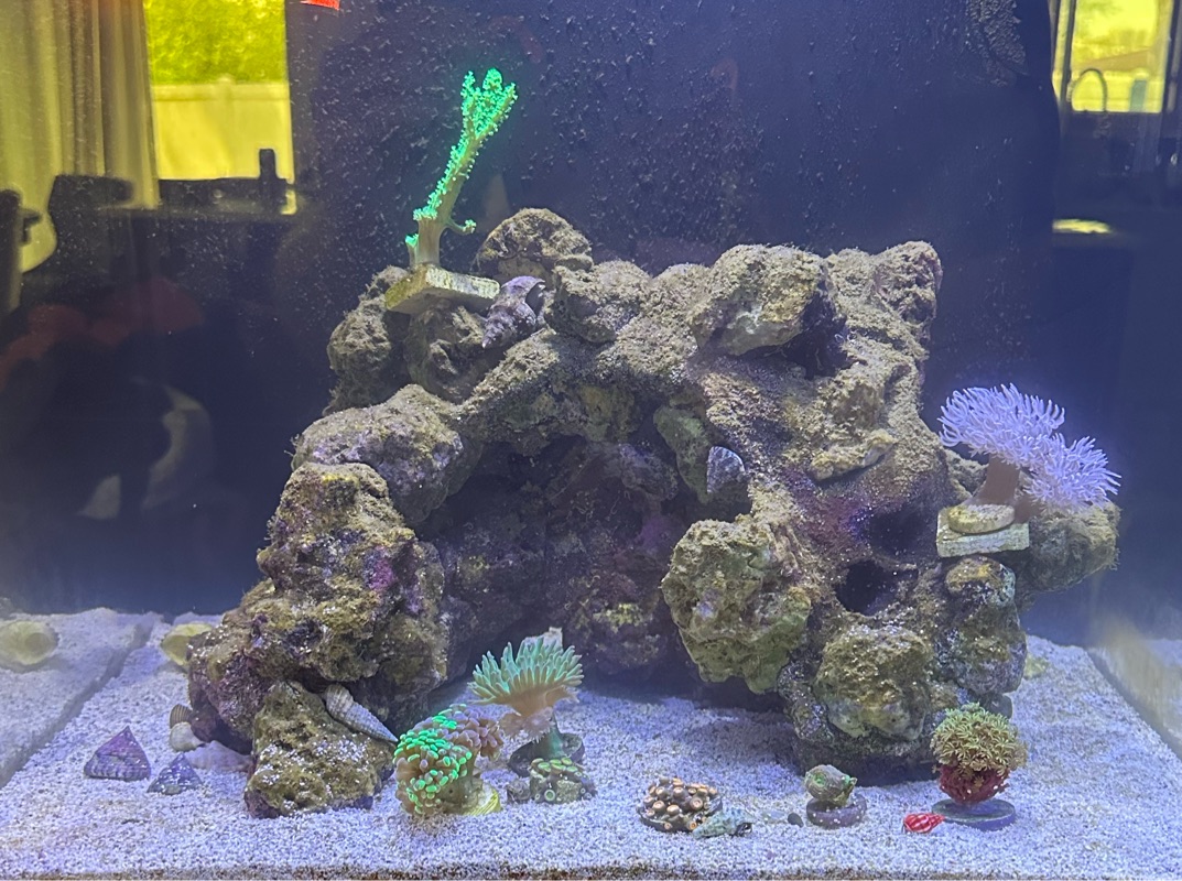 Tank Image
