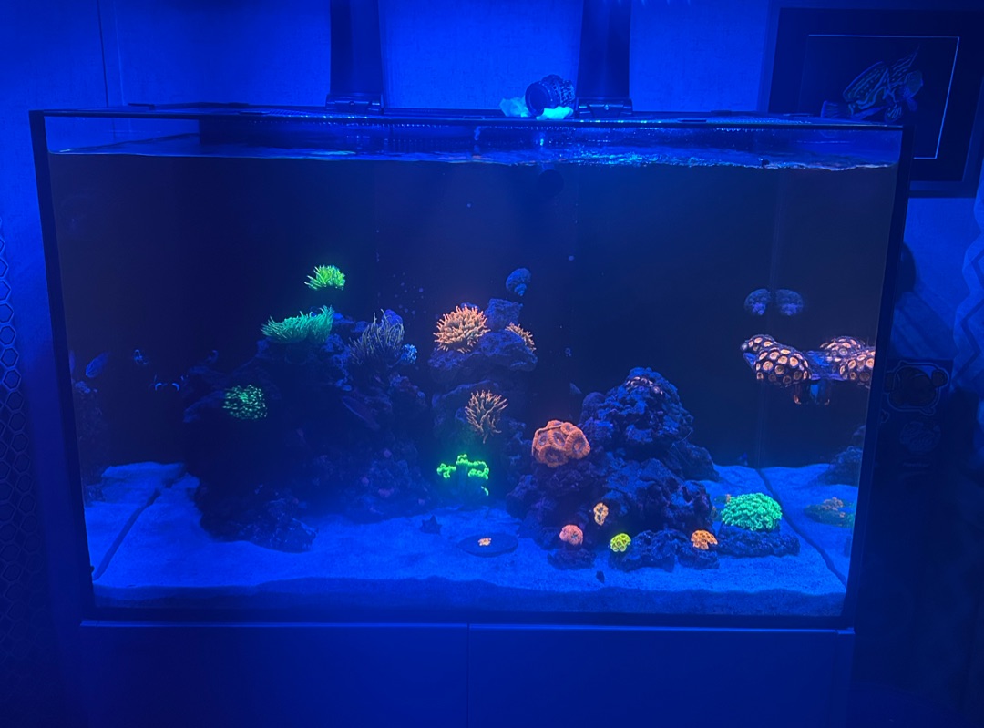 Tank Image