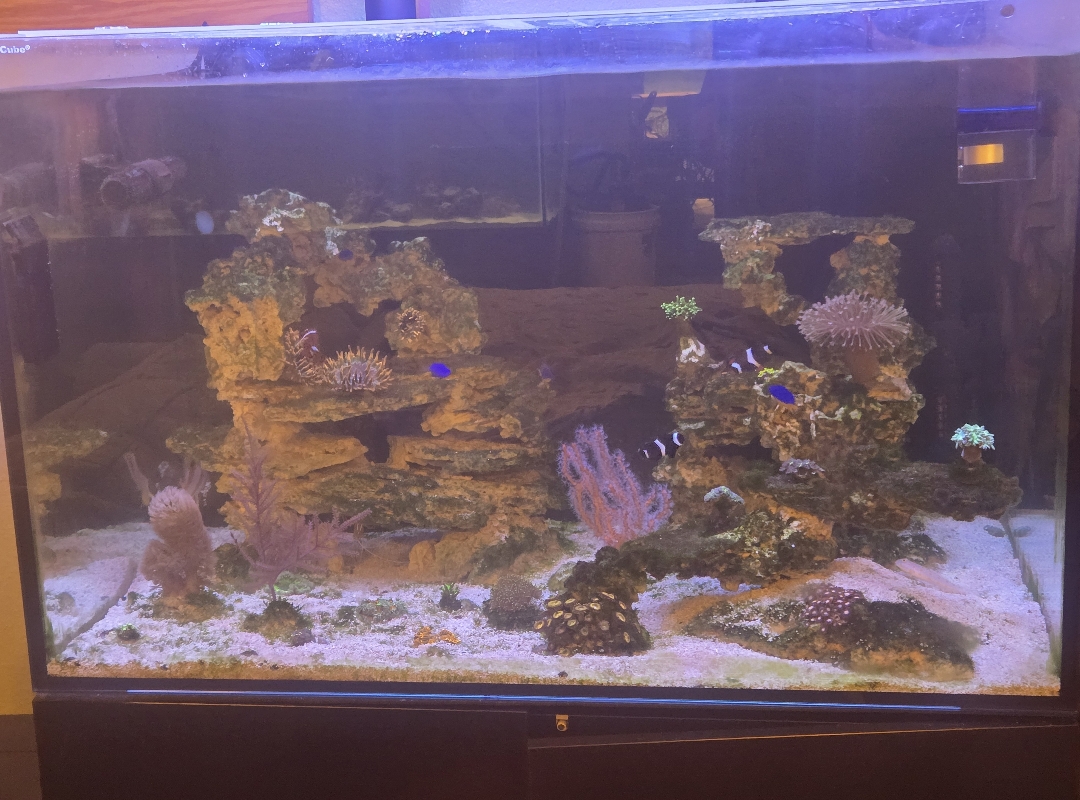 Tank Image