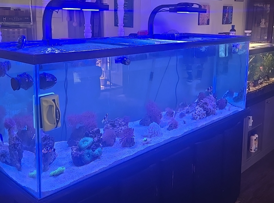 Tank Image