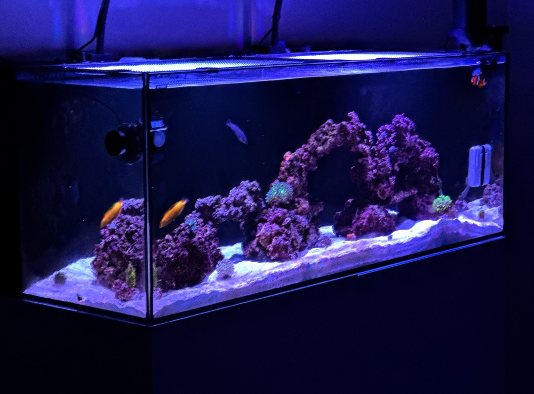 Tank Image