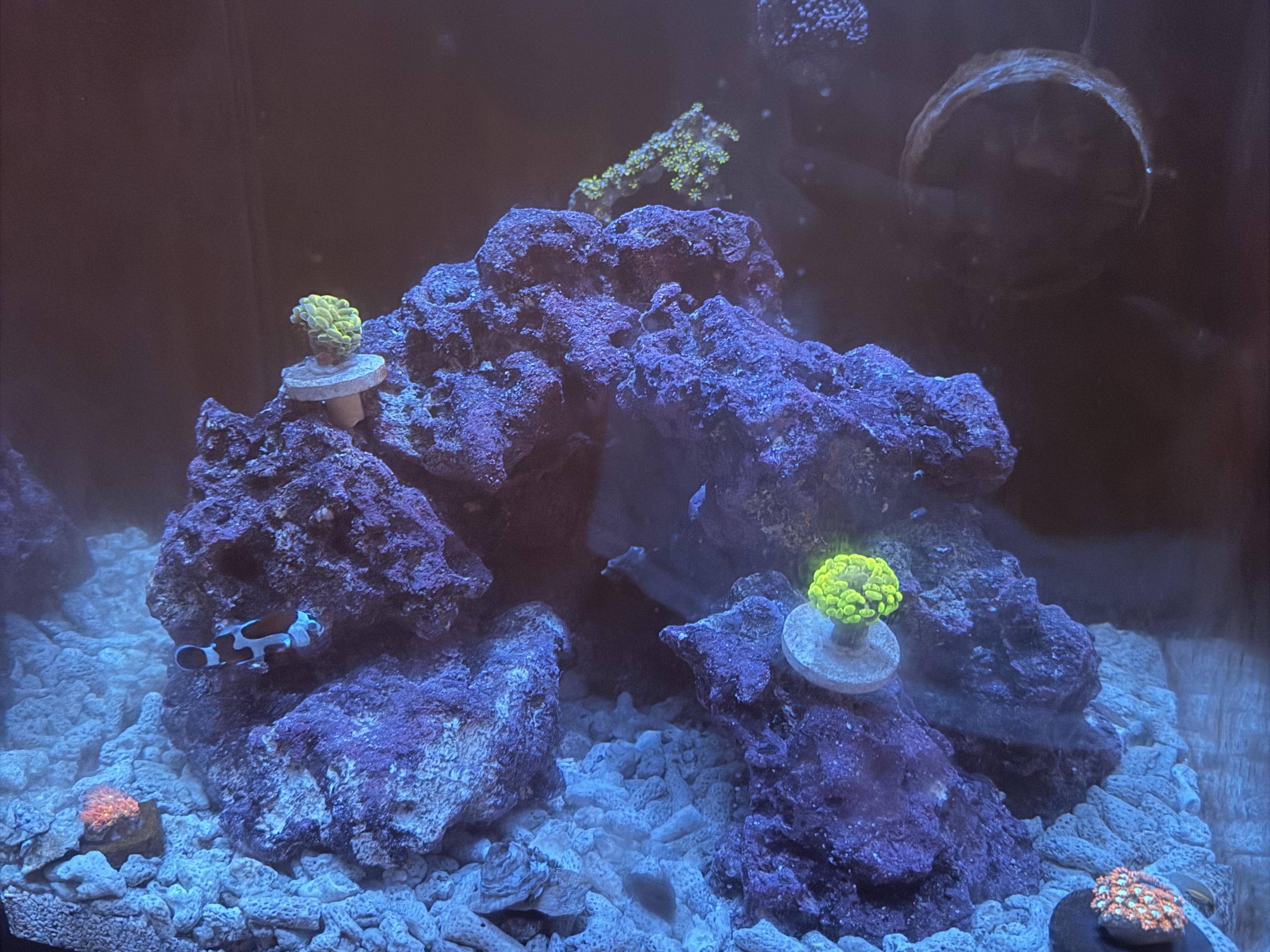 Tank Image
