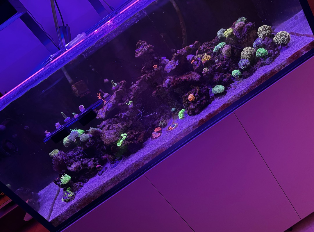 Tank Image