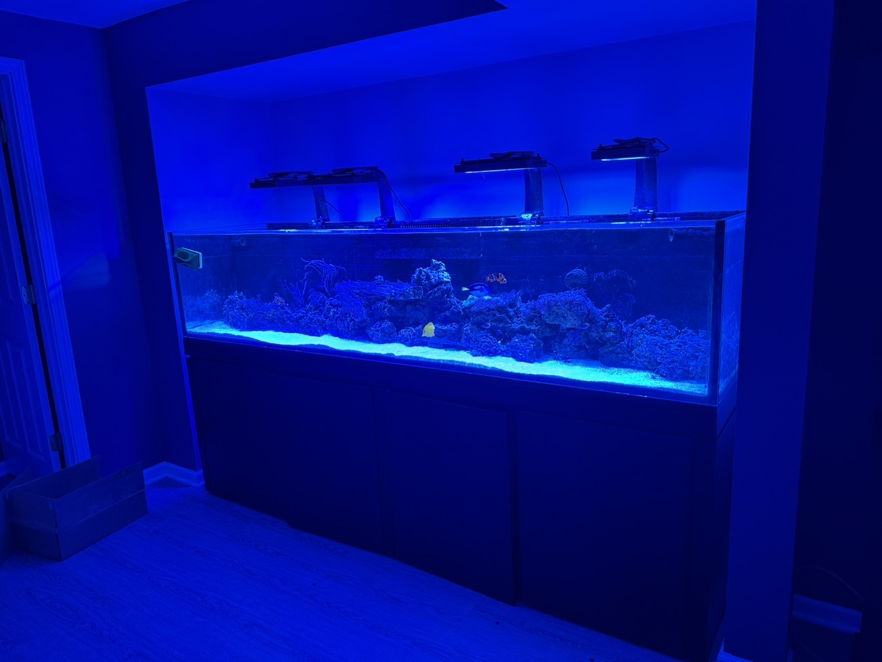 Tank Image