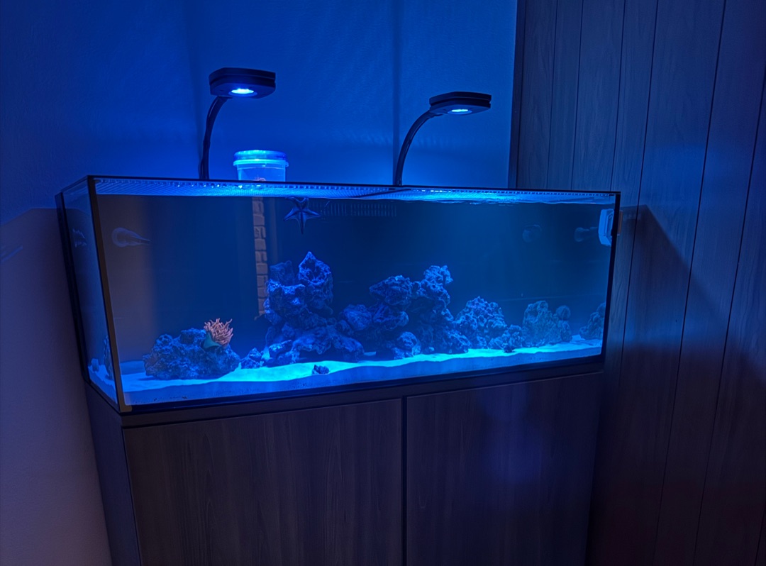 Tank Image