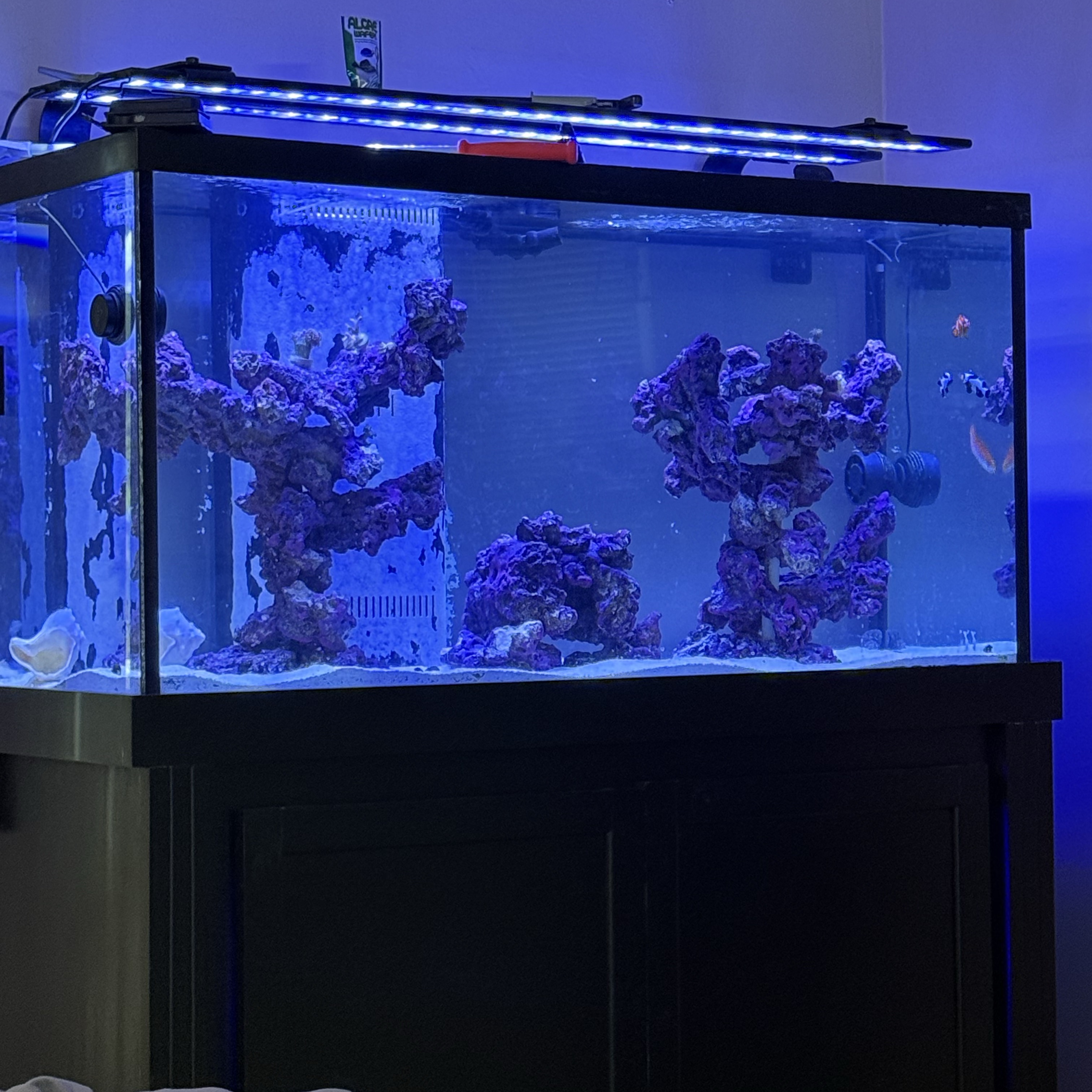 Tank Image