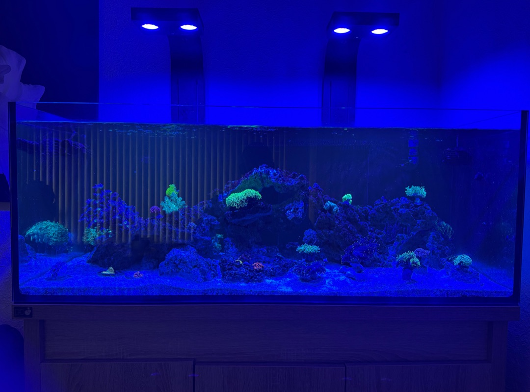 Tank Image