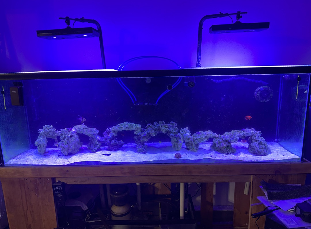 Tank Image