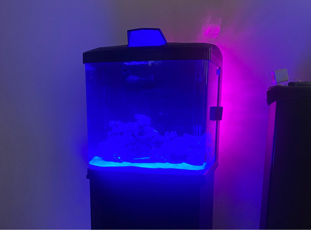 Tank Image