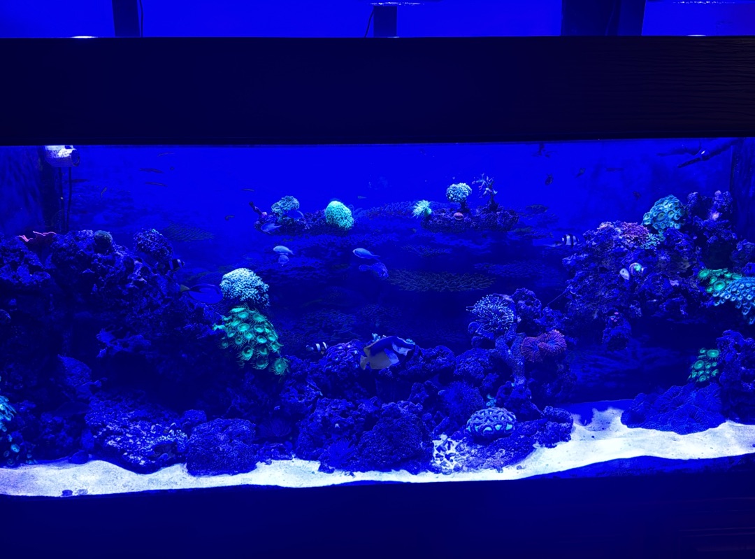Tank Image