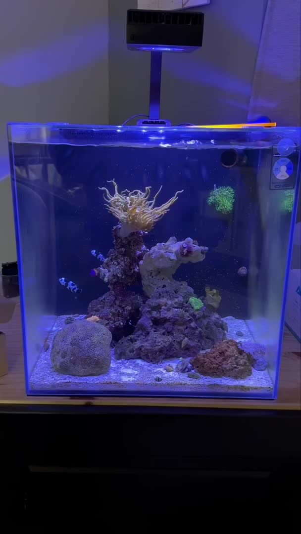 My little project. It has come a long way in nine months! Still so muc...