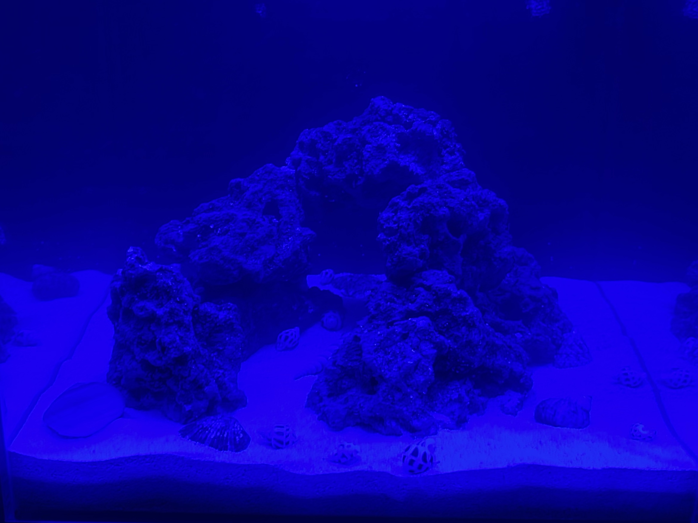 Tank Image