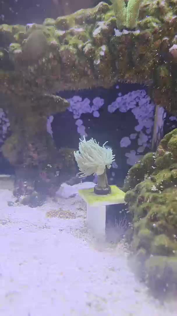 Question, does it look like this Torch has enough flow? Sorry for the longer video.