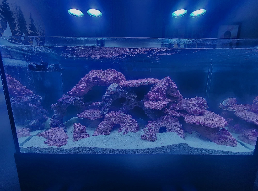 Tank Image