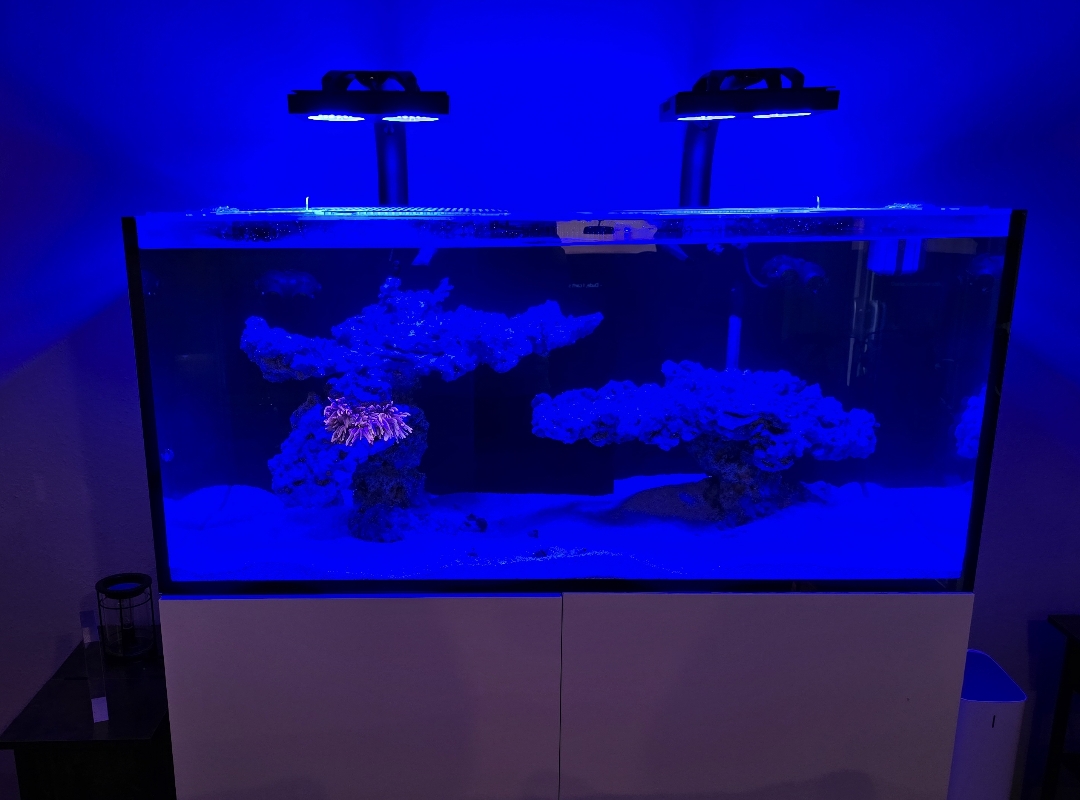 Tank Image