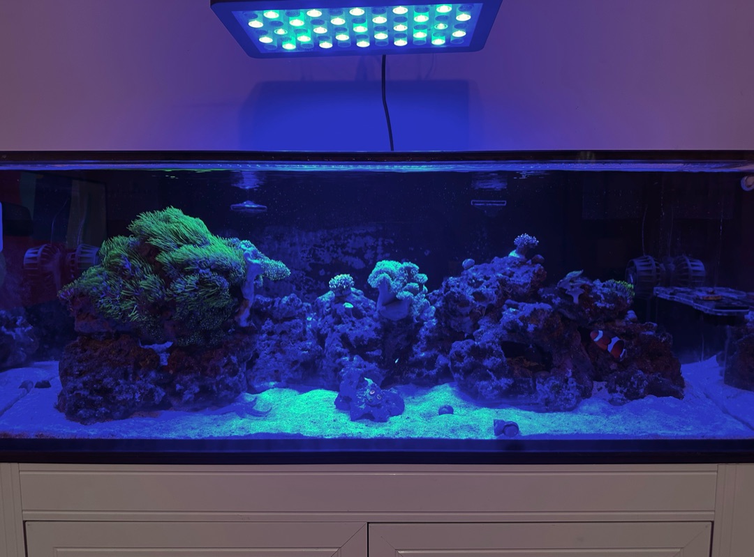 Tank Image