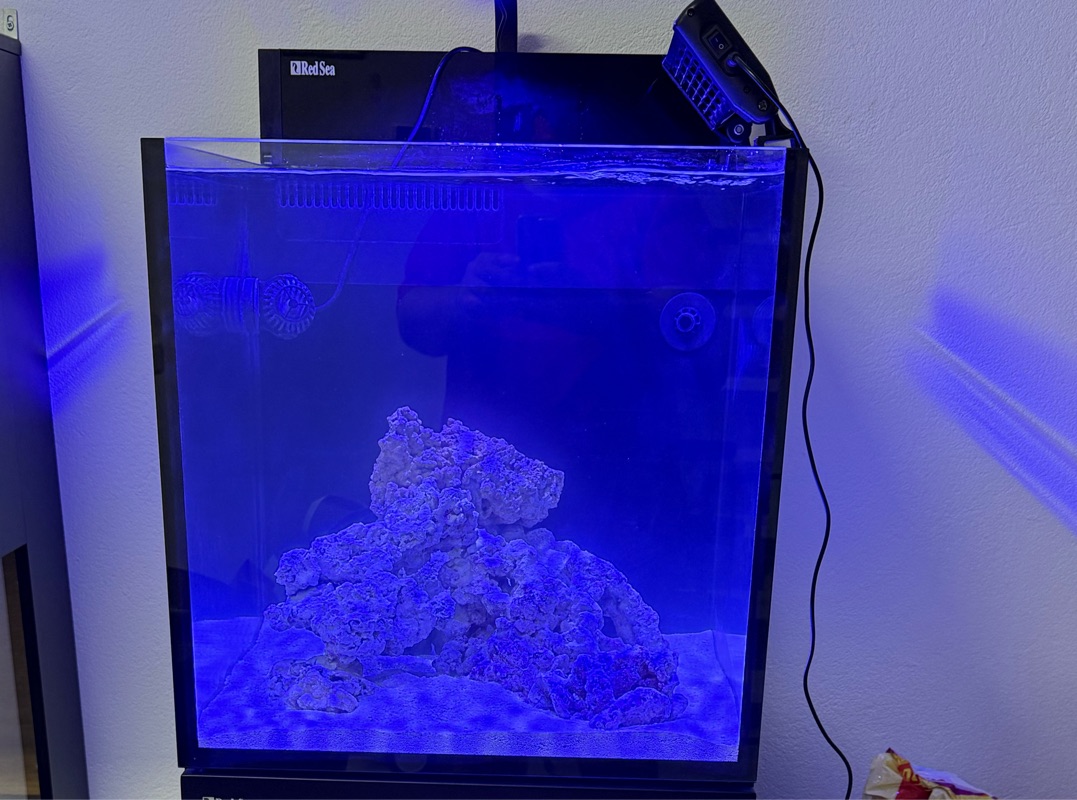 Tank Image