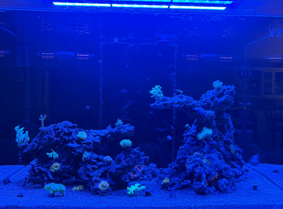 Tank Image