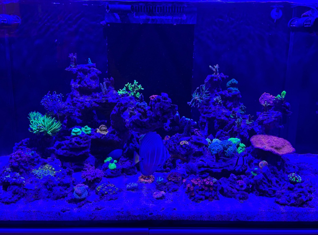 Tank Image