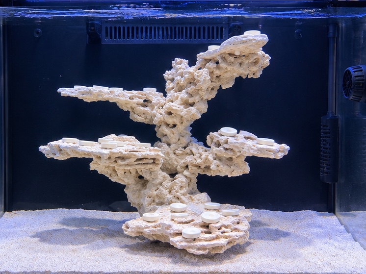 Tank Image