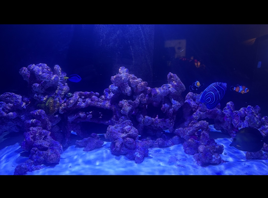 Tank Image