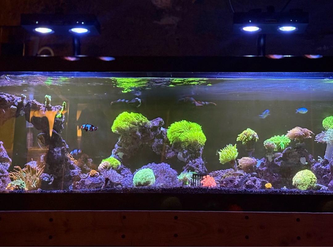 Tank Image