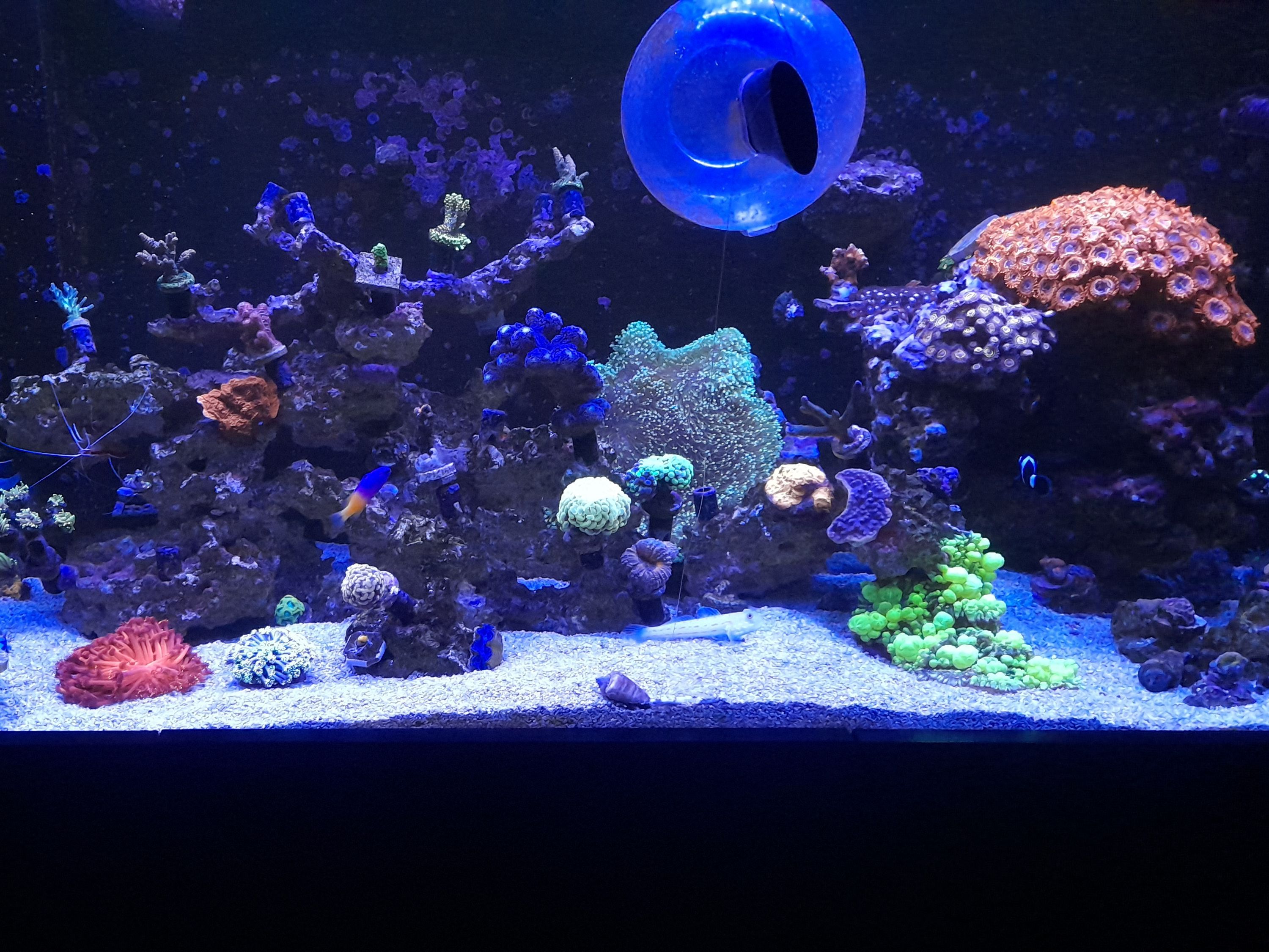 Tank Image